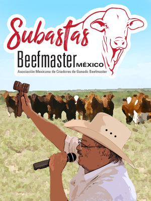 Subasta